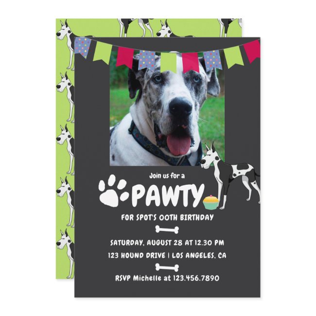 Harlequin Great Dane Birthday Photo Invitation