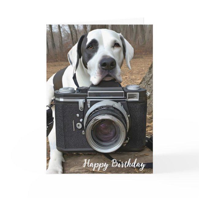 Harlequin Great Dane With Camera Invitations