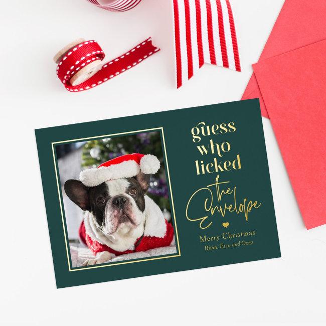 Helpful Pet Foil Holiday Invitations Christmas Invitations