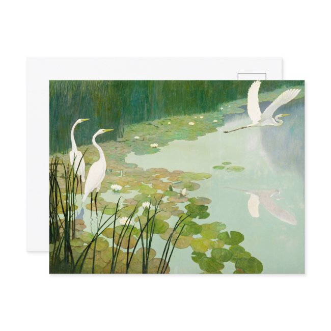 Herons In Summer By Newell Convers Wyeth Invitation Postinvitations