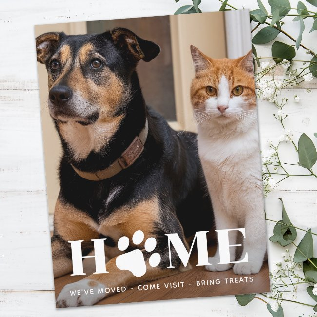 Home Pet Photo We've Moved New Address Dog Moving Announcement