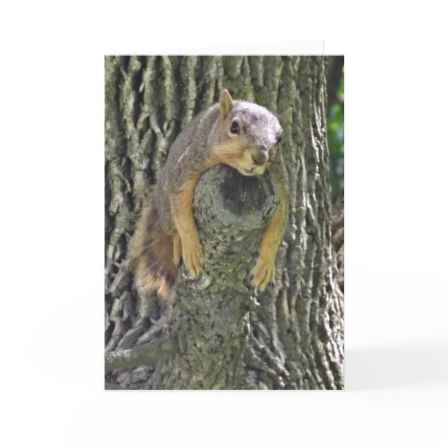 Hope You Feel Better Soon, Funny Squirrel Invitations