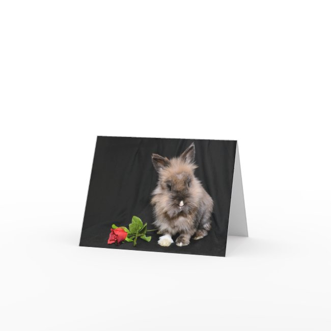 Hoppy Valentine's Day Holiday Invitations