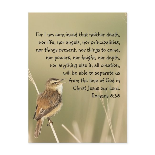 Inspirational Bible Scripture Quote Romans 8:38 Postinvitations