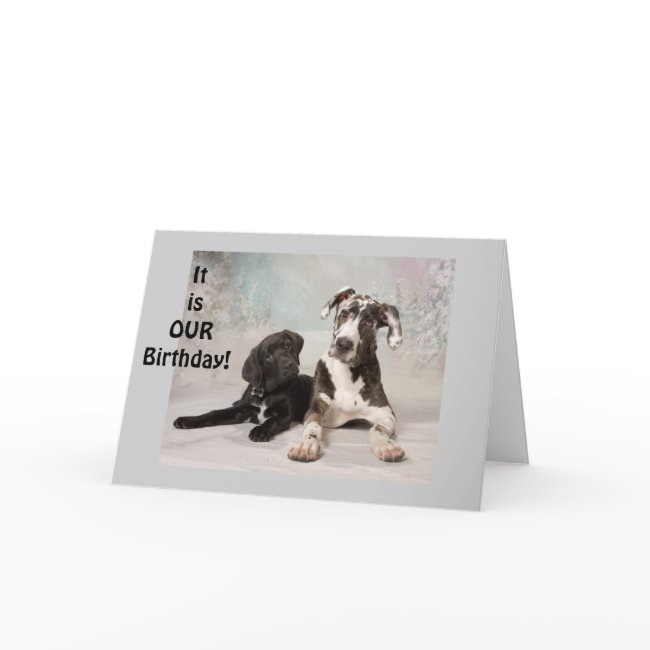 It Is "our" Birthday-great Day! Twin Or Mutual Day Invitations