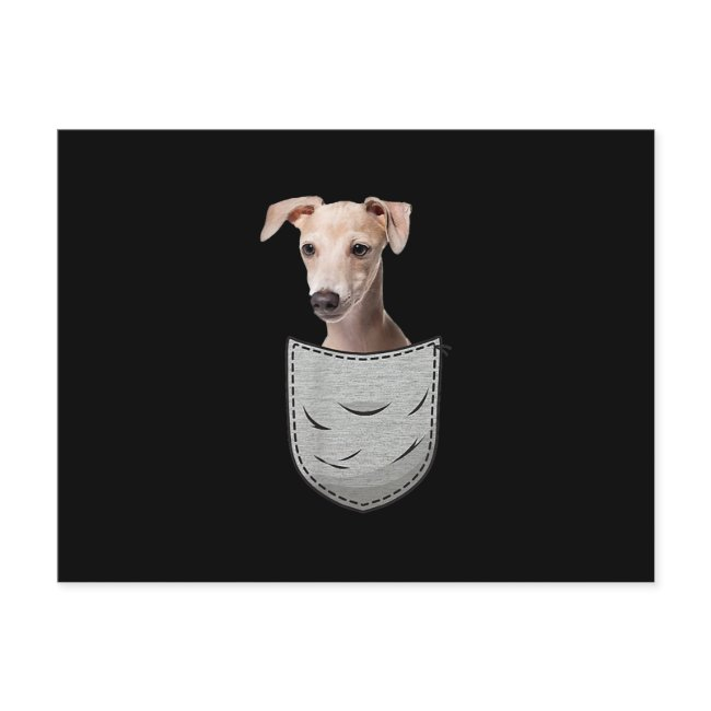 Italian Greyhound Whippet Chest Pocket For Dog Own Announcement Postinvitations