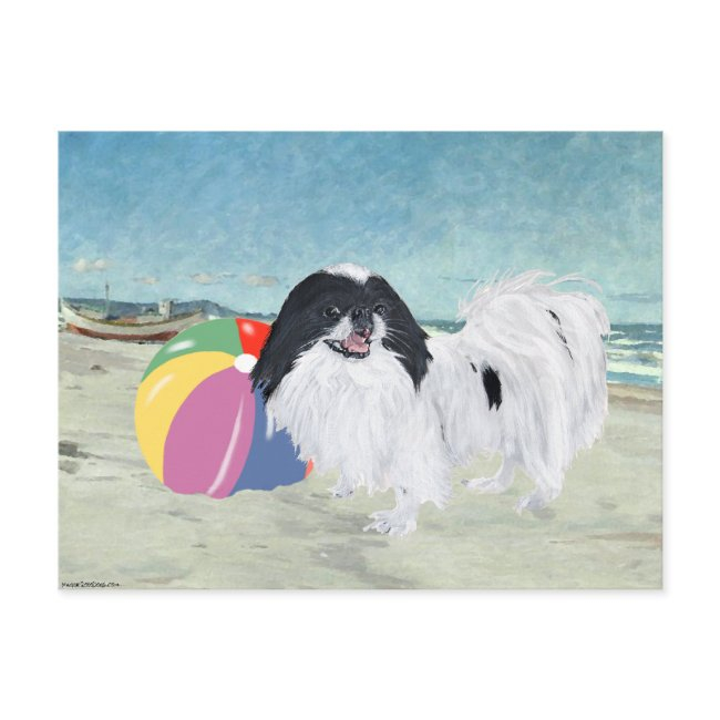 Japanese Chin Beach Ball Postinvitations