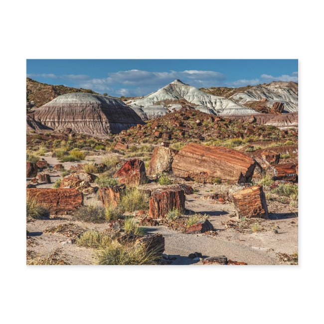 Jasper Forest Postinvitations