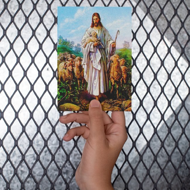 John 10:7-21 I Am The Good Shepherd Postinvitations