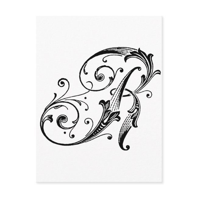 Letter R Monogram Postinvitations
