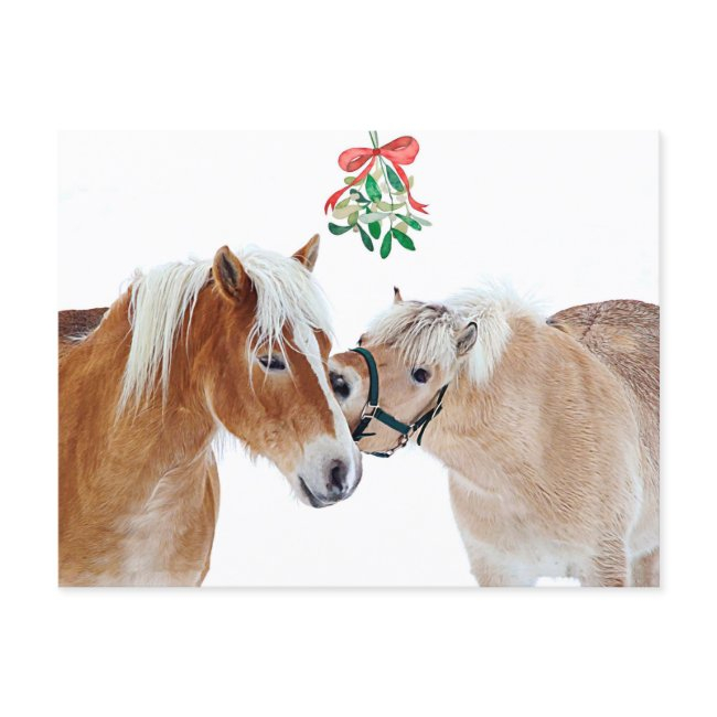 Merry Christmas Horse Mistletoe Equine Cute Ponies Holiday Postinvitations