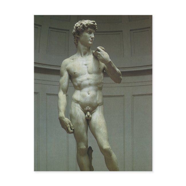 Michelangelo's Statue Of David Postinvitations