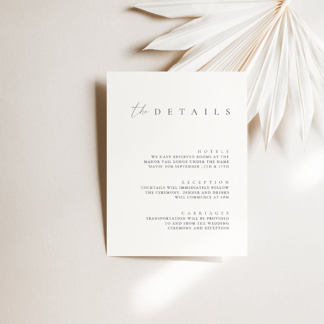Minimalist Ivory Wedding Details Enclosure Invitations