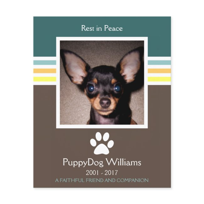 Mod Pet Loss Memorial Invitations