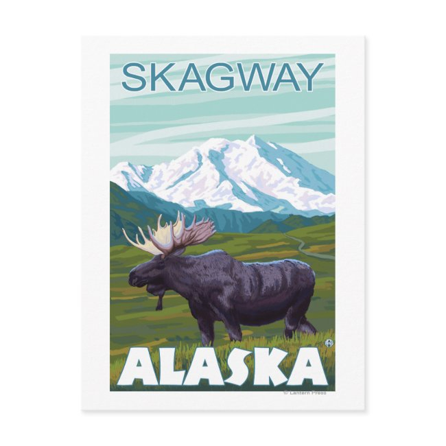 Moose Scene - Skagway, Alaska Postinvitations