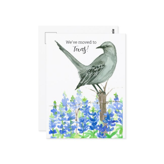 Moving Announcement Texas Mockingbird Bluebonnets Postinvitations