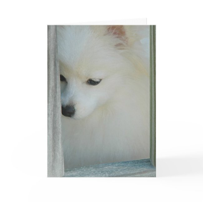My Girl Pomeranian Greeting Invitations