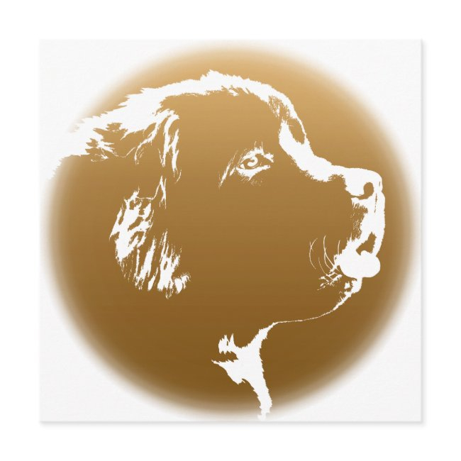 Newfoundland Invitations Personalized Dog Invitations