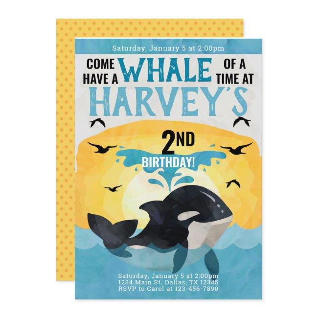 Orca Whale Birthday Party Invitation Invite
