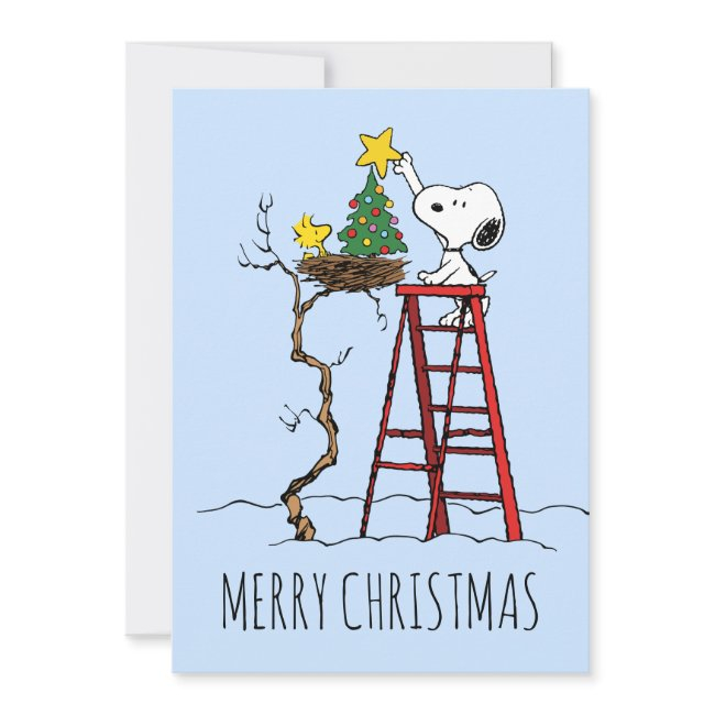 Peanuts | Snoopy & Woodstock | Add Your Photos Holiday Invitations