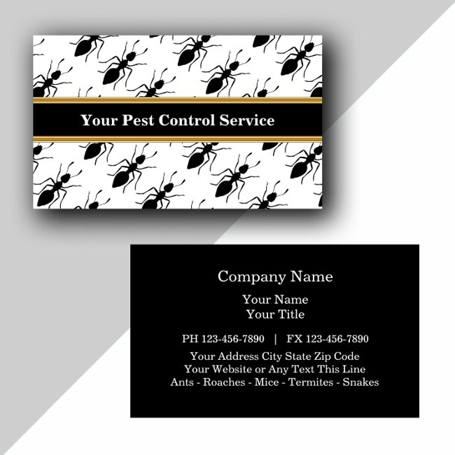 Pest Control Business Invitations