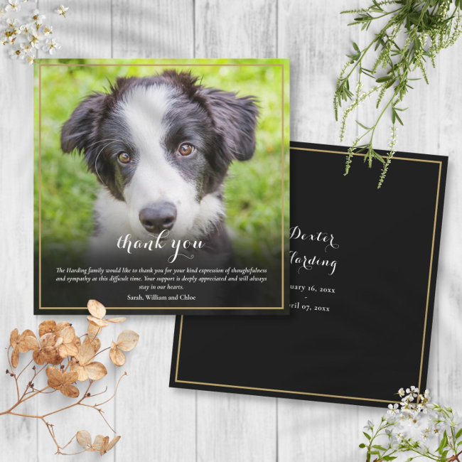 Pet Loss Sympathy Photo Square Thank You Invitations