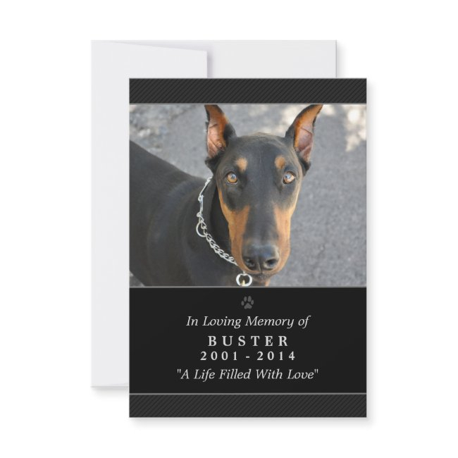 Pet Memorial Invitations 3.5 X 5 Black - Contented Poem