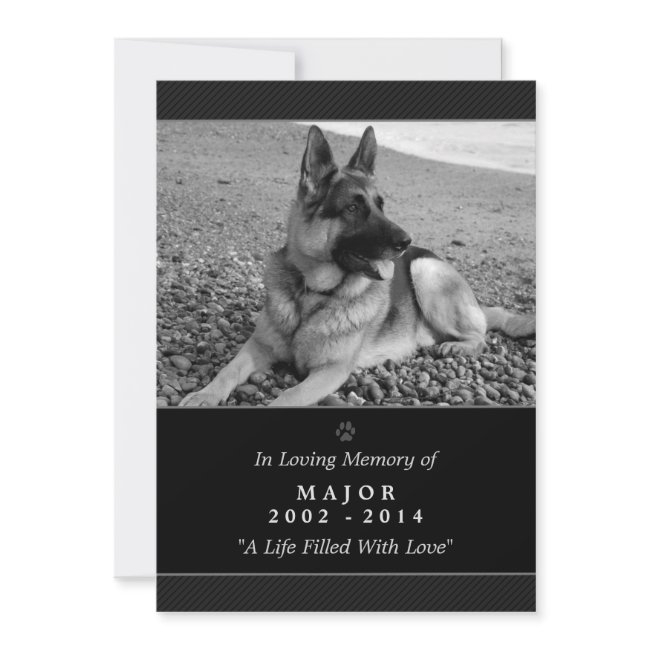 Pet Memorial Invitations 5"x7" Black Modern - Male Pet