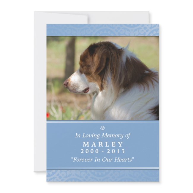 Pet Memorial Invitations 5"x7" Light Blue Pet's Prayer