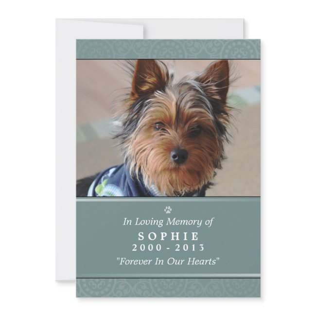 Pet Memorial Invitations Teal God Saw You Poem
