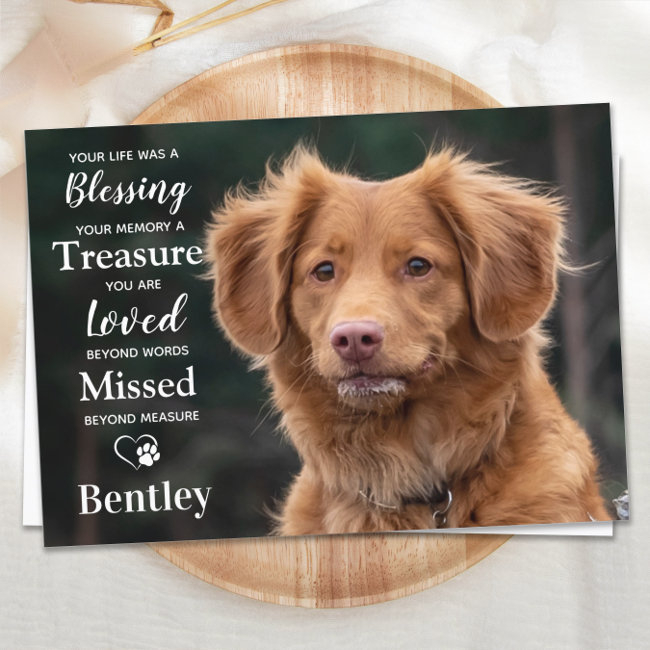 Pet Memorial Modern Personalize Dog Photo Sympathy Thank You Invitations
