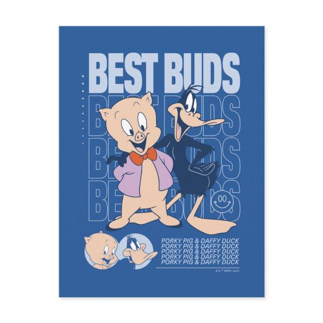 Porky Pig & Daffy Duck™ Best Buds Postinvitations