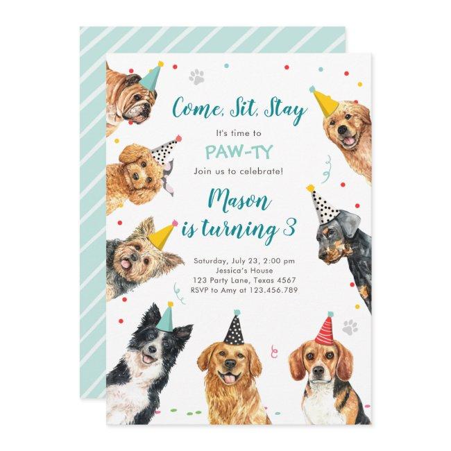 Puppy Birthday Invitation Dog Party Pawty Boy
