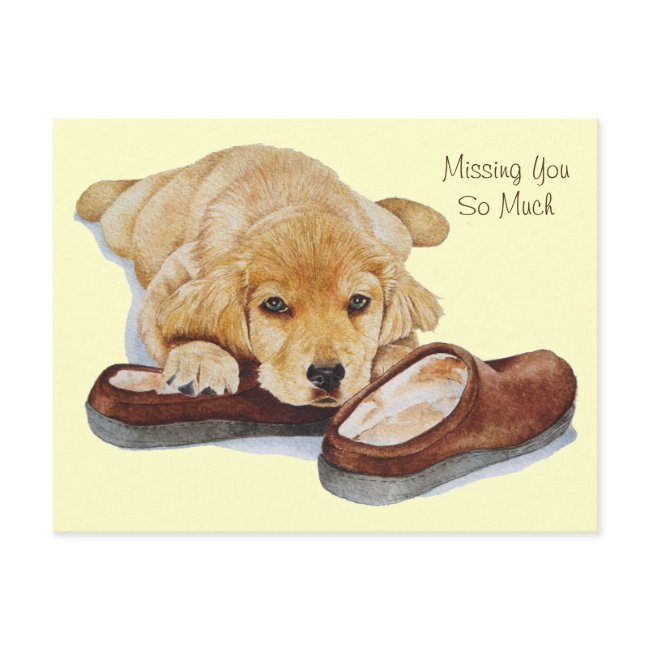 Puppy Golden Retriever Dog Portrait Missing You Postinvitations