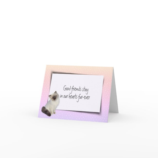 Rag Doll Pet Loss Sympathy Invitations