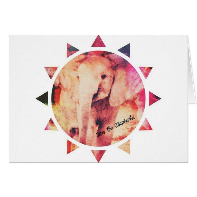 Save The Elephants, Baby Elephant Sunshine