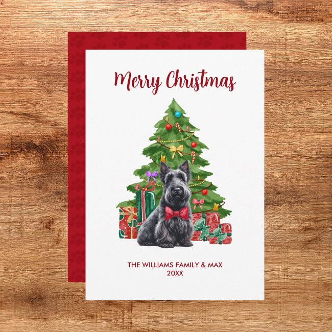 Scottish Terrier Christmas Invitations