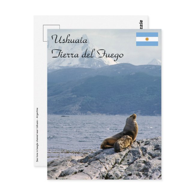 Sea Lions In Beagle Channel - Argentina Postinvitations