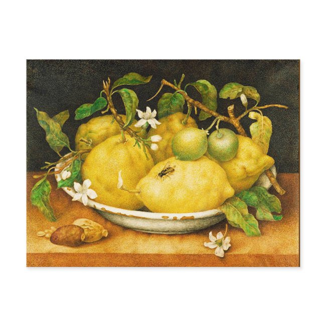 Season's Fruits Lemons And White Flowers Postinvitations