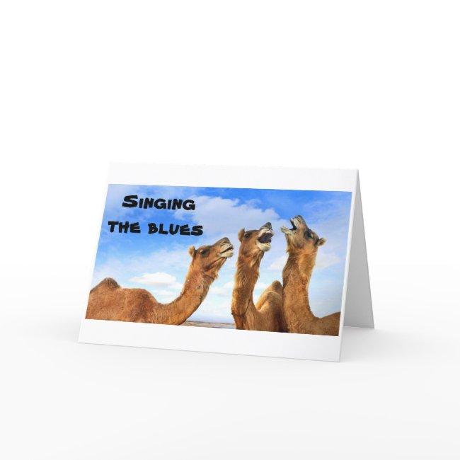 Singing Camels Sing The Blues-get Well Invitations