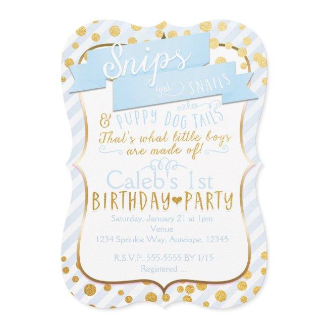 Snips & Snails Blue Gold Birthday Party Invitation