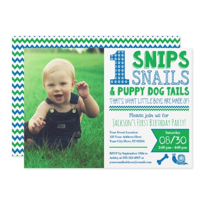 Snips, Snails, & Puppy Dog Tails 1st Birthday Invitation