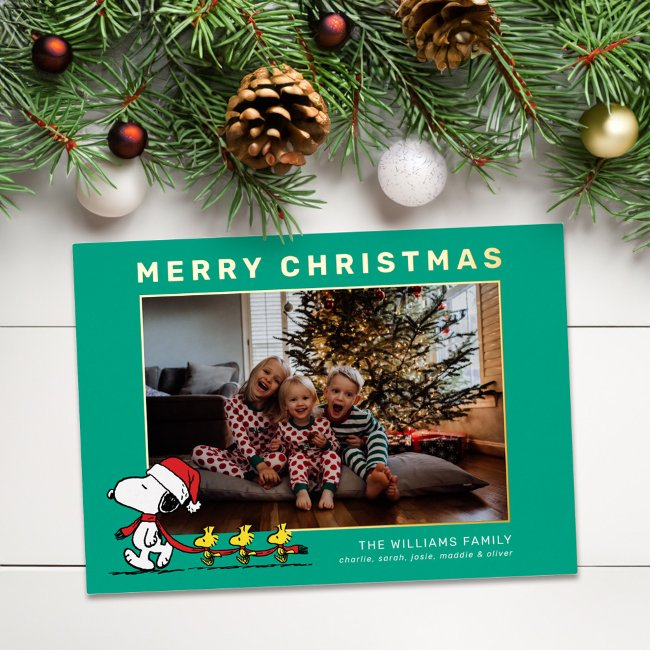 Snoopy & Friends Christmas Family Photo Foil Holiday Invitations