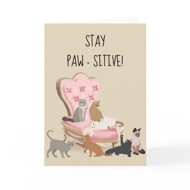 Stay Paw-sitive Positive Funny Cat Thinking Of You Invitations