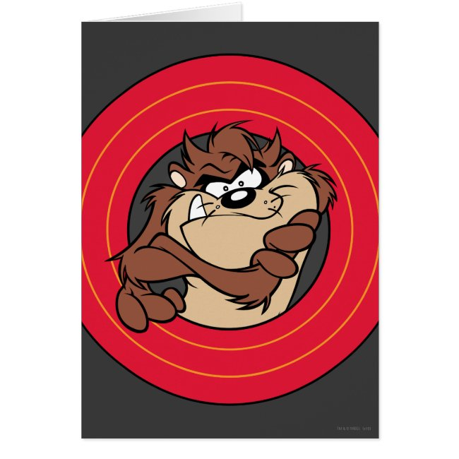 Taz™ Through Looney Tunes™ Circles