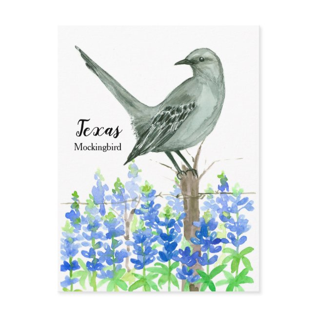 Texas Mockingbird Bluebonnet Watercolor Postinvitations