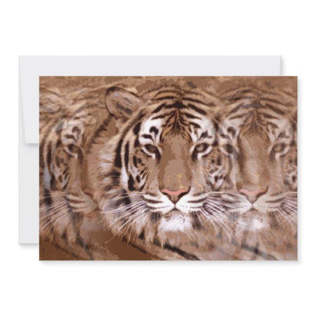 Tiger Invitation