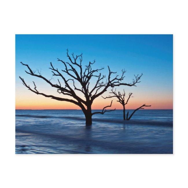 Usa, South Carolina, Edisto Island, Botany Bay Postinvitations