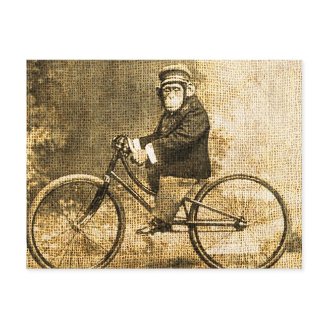 Vintage Chimpanzee On A Bicycle Postinvitations