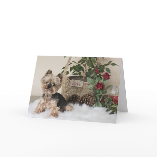 Yorkie (yorkshire Terrier) Valentine's Invitations